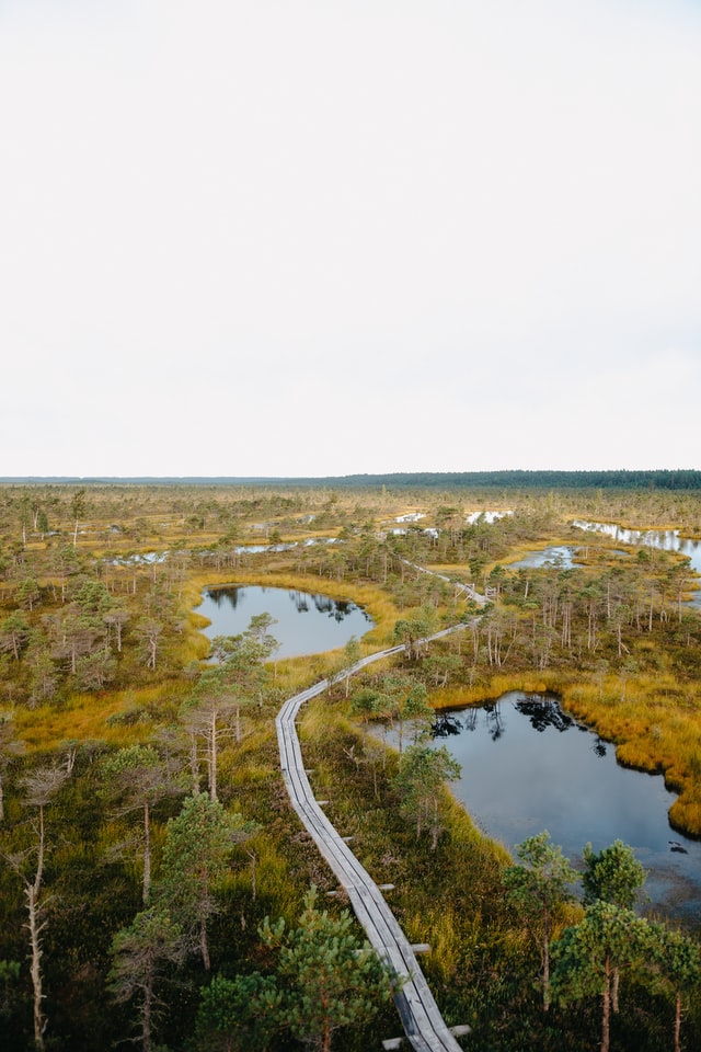 Great Ķemeri Bog Boardwalk Kemeri Nationalpark
