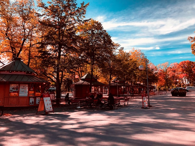Gamla Stan In Autumn