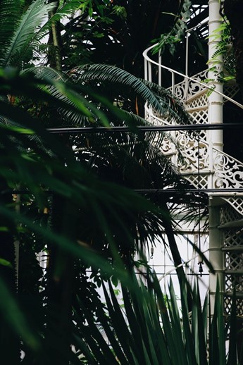 Botanical garden